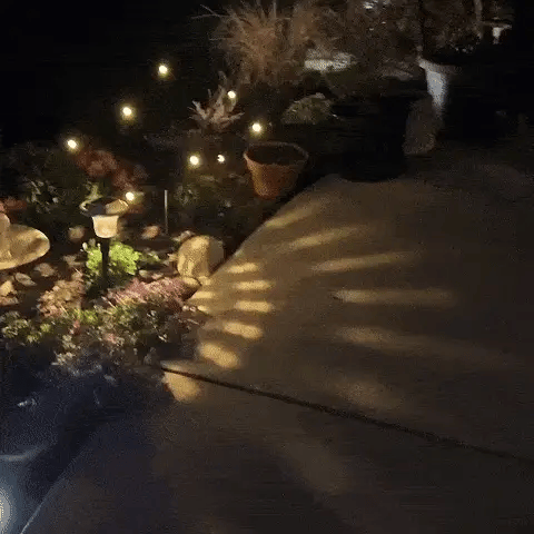 Luciérnagas con 6 Luces LED solares