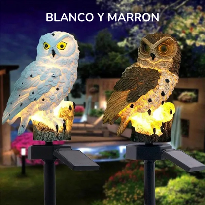 Buho Solar Led MagicNight