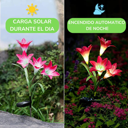 Lirios Solares Led