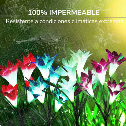Lirios Solares Led