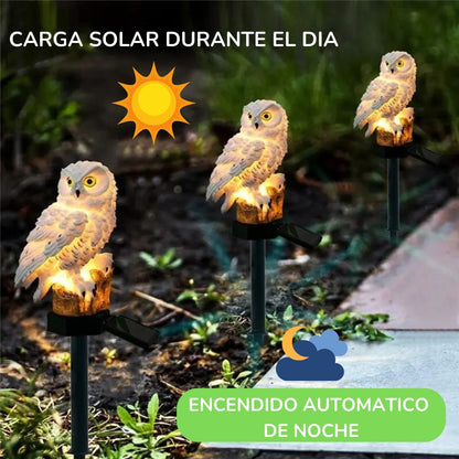 Buho Solar Led MagicNight