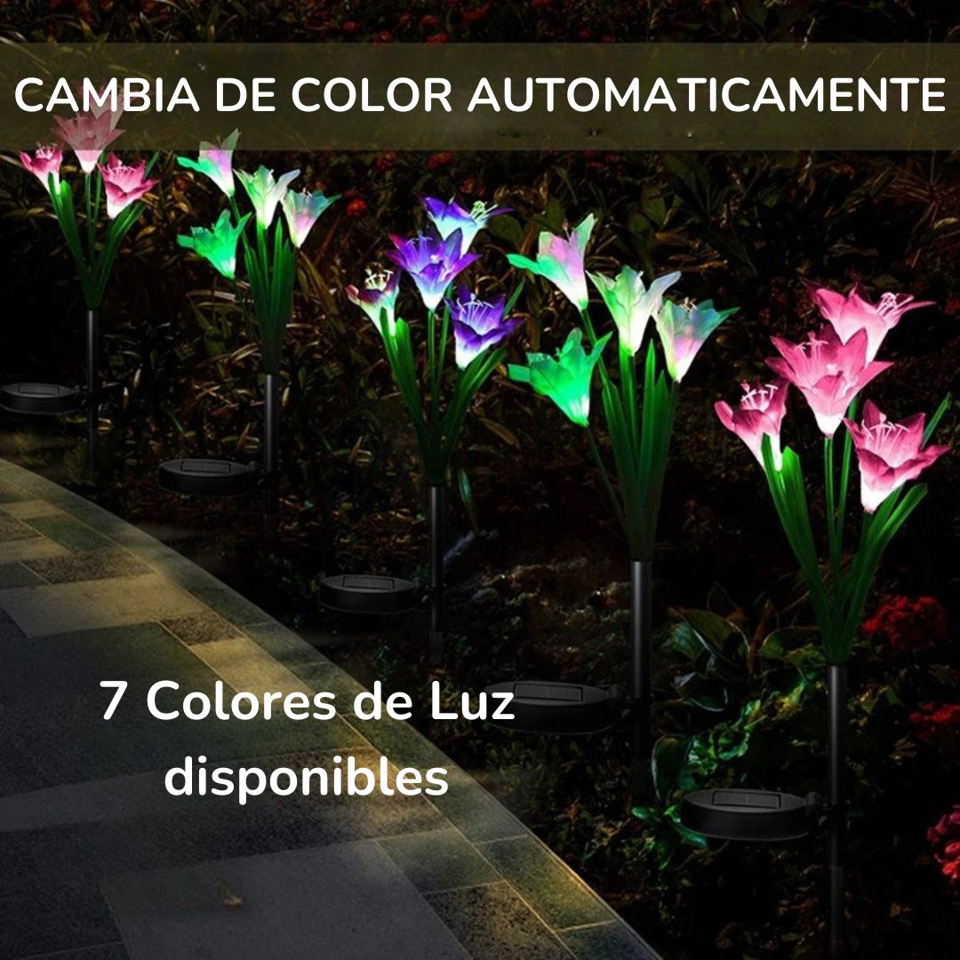 Lirios Solares Led