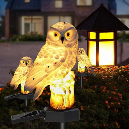 Buho Solar Led MagicNight