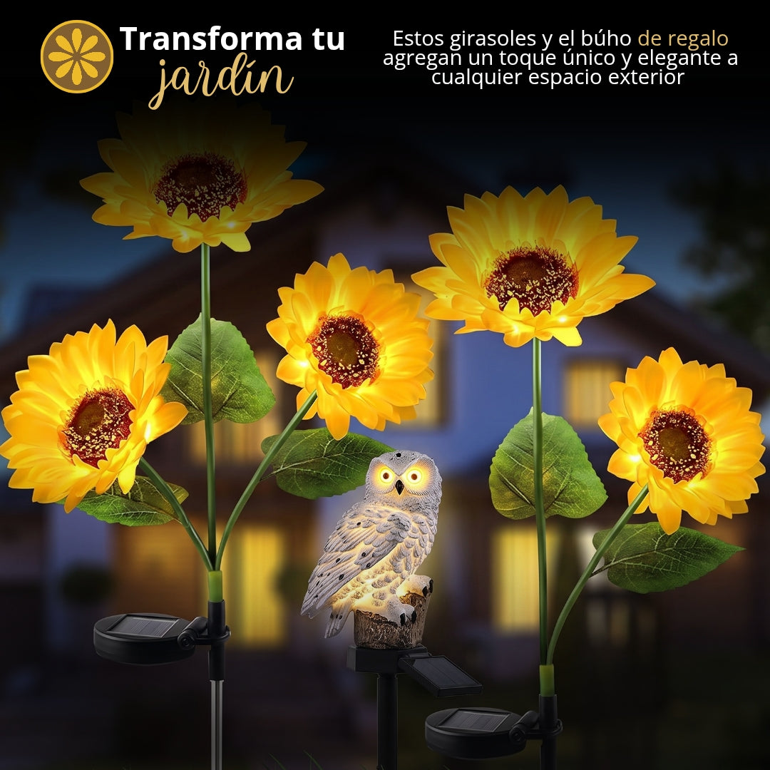 Pack 2 girasoles + 1 búho blanco de regalo