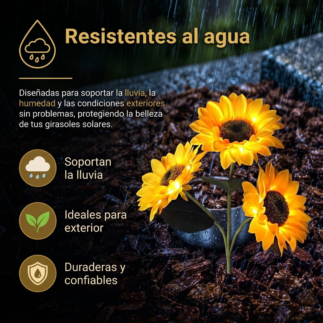 Pack 2 girasoles + 1 búho blanco de regalo